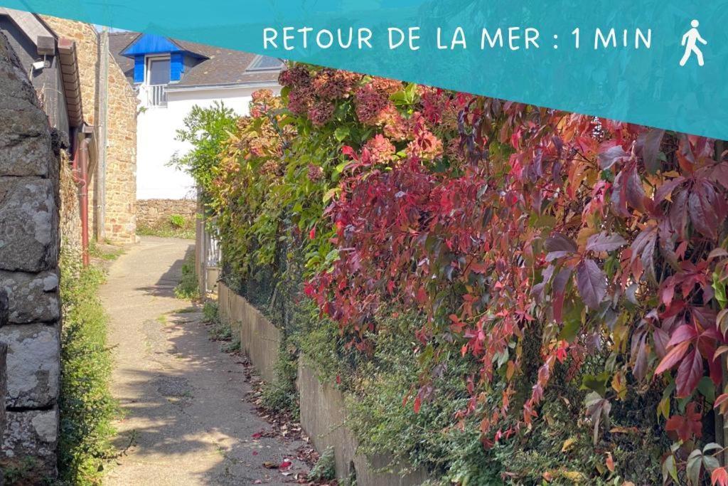 Ty Gavrinis - T2- Centre Bourg - 100M De La Mer لارمور بادن المظهر الخارجي الصورة